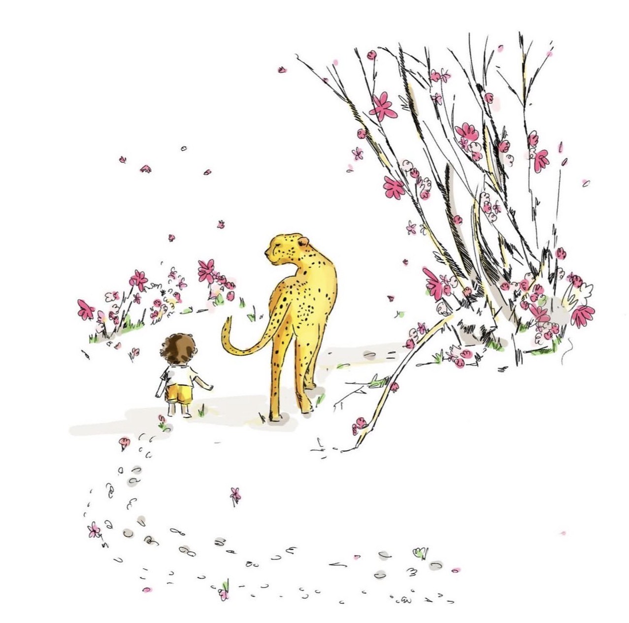 Luke Wes: NO SYMPATHY FOR A CHEETAH